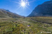 le col urine est en vue