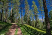 le grand rochebrune depuis foret de bois pisan
