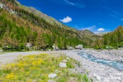 le guil les fleurs et la roche ecroulee