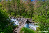 le guil un torrent tumultueux deja ici