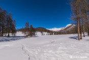le lac de roue sous la neige