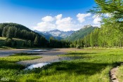 Les berges verdoyantes du lac de Roue