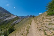 le sentier clot la cime qui longe au soleil