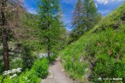 le sentier descend vers le guil