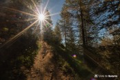 le sentier part en ligne droite sous le soleil