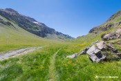 le vallon laugier se devoile