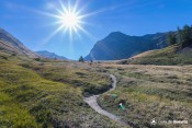 les larges alpages se decouvrent
