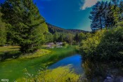 les tonnelles sous les arbres