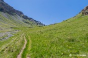 ligne verte laugier