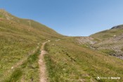 ligne verte sous col de peas