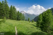 Sur le retour, en direction du hameau du Malrif : sentier et prairie verte