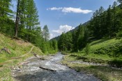 Torrent du Malrif, sur le retour