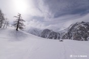 mangeoir brebis sous la neige