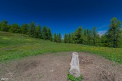 mangeoire dans clairiere bois saint simon