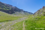 mangeoires au niveau bergerie laugier