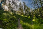 marche sous les premiers rayons de soleil