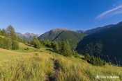 mont viso dans le dos sur herbes hautes
