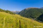 mont viso ristolas depuis alpages varensc