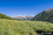 mont viso sous moussou