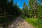 montee dans bois moulin
