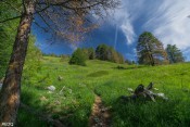 montee dans les alpages de bois noir vers herbe vieille