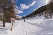 montee en foret skieur skating balcon ceillac