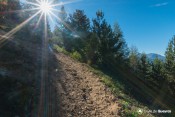 montee sous le soleil a la sortie du bois vers peas