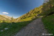 montee sous les melezes