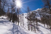 neige fraiche depuis sentier croix curlet