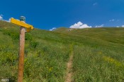panneau bergerie clot du loup