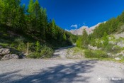 panneau champ blanchon