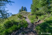 panneau sous le moussou