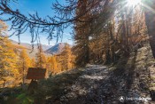 panneau vtt descente bois eyssard chemin clot henry molines