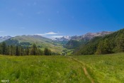 panorama depuis herbe vieille