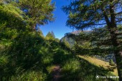 passage ombrage sentier