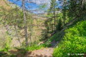 passage rondin sous petit belvedere