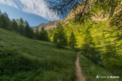 passerelle vallon tronchet en vue
