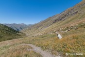 patou et troupeau mouton vallon saint martin