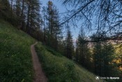 pente verte dans bois clot charin