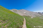 pente verte fleurs sur sentier col lauzon