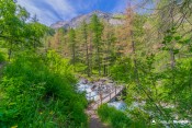 petit pont de bois traversant le guil sentier ecologique