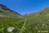 pierre blanche dans vallon laugier