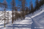 piste fond les loups devant saint veran sous melezes rail