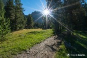 piste forestiere font sancte pic heuviere rayon soleil