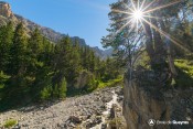 piste forestiere font sancte rif bel depuis rocher