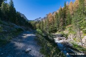 piste forestiere font sancte rif bel pic panestral avant passerelle