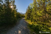 piste forestiere val escreins font sancte