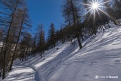 piste les loups dans bois moulin