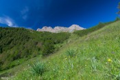 prairies fleuris sous la roche des clots