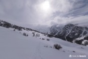 pre geant au loin sous ciel neigeux
